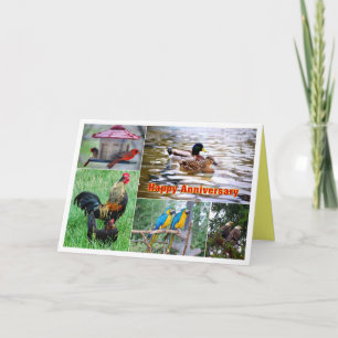 Bird Pairs Collage Happy Anniversary Card