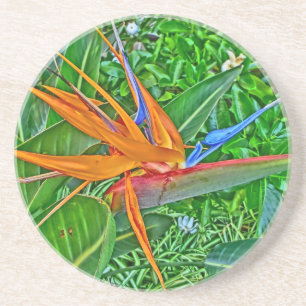 Bird Paradise Hawaii coasters