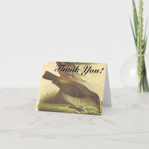 Bird Pecking At The Ground "Thank You!" Card