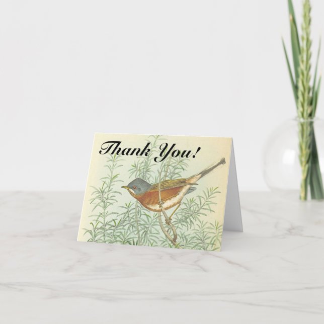 Bird Perched on a Branch "Thank You!" Card (Front)