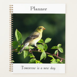 Bird-perched Planner