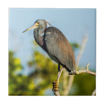 Bird Perfect Ceramic Tile Art