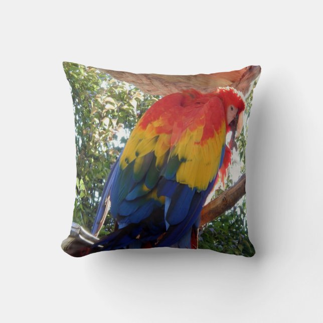 Bird Photo #16-Scarlet Macaw Cushion (Front)