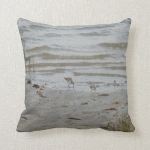 bird photo #19- piping plover and killdeer cushion