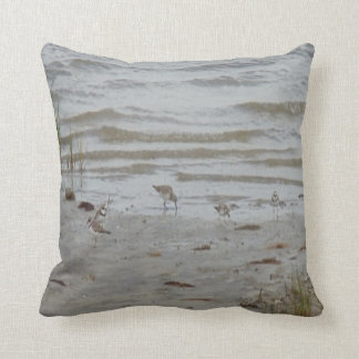 bird photo #19- piping plover and killdeer cushion