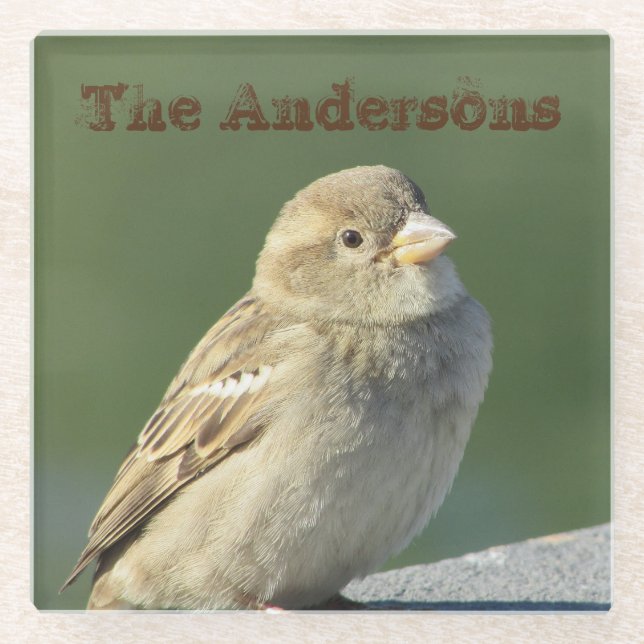 Bird Photo Family Name Brown House Sparrow Glass Coaster (Front)