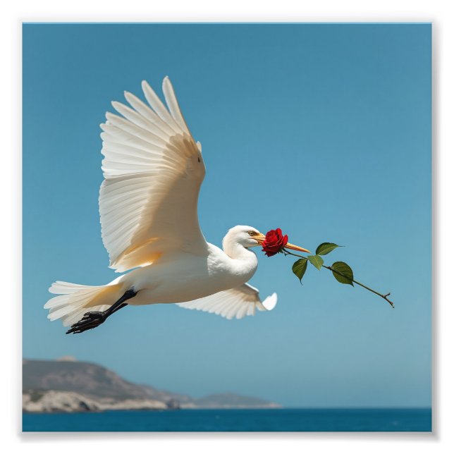 Bird Photo Print (Front)