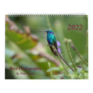 Bird Photography by Tom Spine, 2022 Calendar