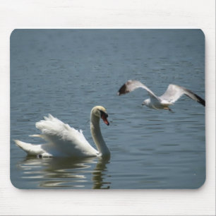 Bird Playing With Swan Mouse Mat