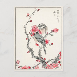 Bird Plum Tree Vintage Antique Japanese Art Print Postcard