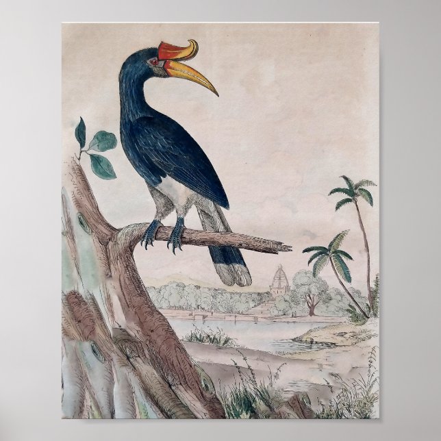 Bird poster (Front)