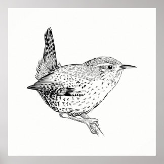 Bird Poster / Wall Art Wren