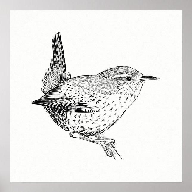 Bird Poster / Wall Art Wren (Front)