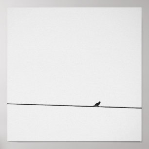 Bird put in black and white poster