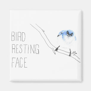 Bird Resting Face (Blue-gray Gnatcatcher) Magnet