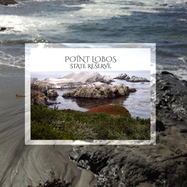 Bird Rock, Point Lobos State Reserve Postcard (Creator Uploaded)