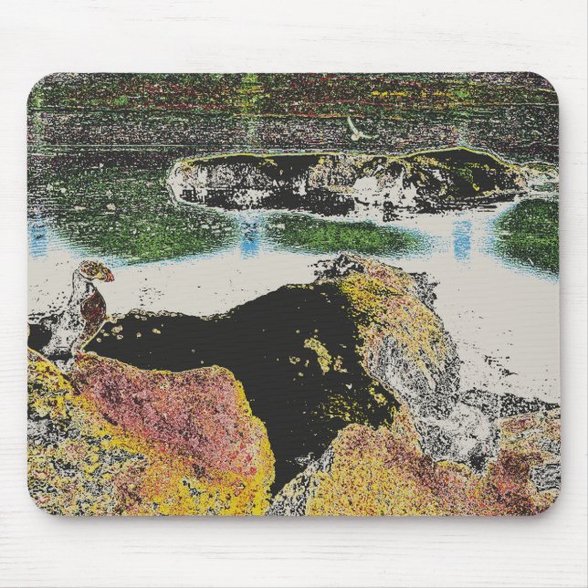 bird rocks mouse mat (Front)