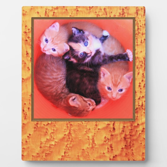 Bird’s Eye Maple Wood Grains Pattern Picture Frame (Front)