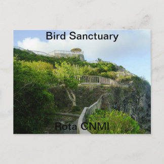 Bird Sanctuary Postcard