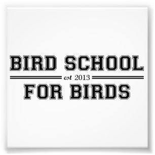 Bird School Which Is For Birds Photo Print