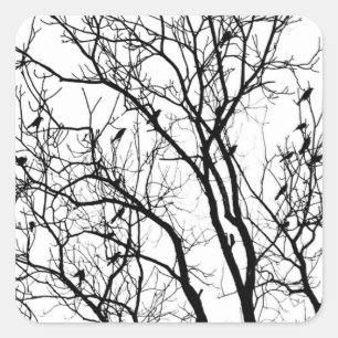 Bird Silhouette by Therese Kramer   Square Sticker