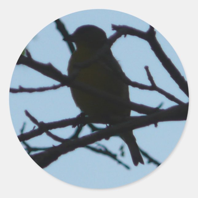 bird,silhouette classic round sticker (Front)