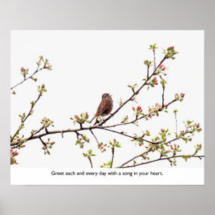 Bird Singing a Happy Song Poster