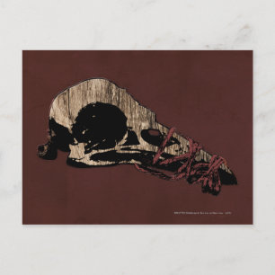 Bird Skull Postcard