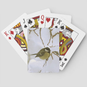 Bird Snow Classic Playing Cards