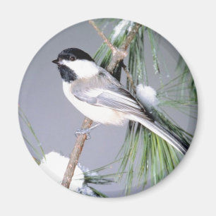 Bird Snow Covered Branch Magnet