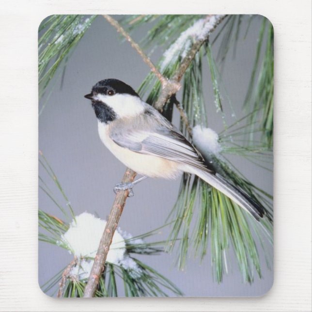 Bird Snow Covered Branch Mouse Mat (Front)
