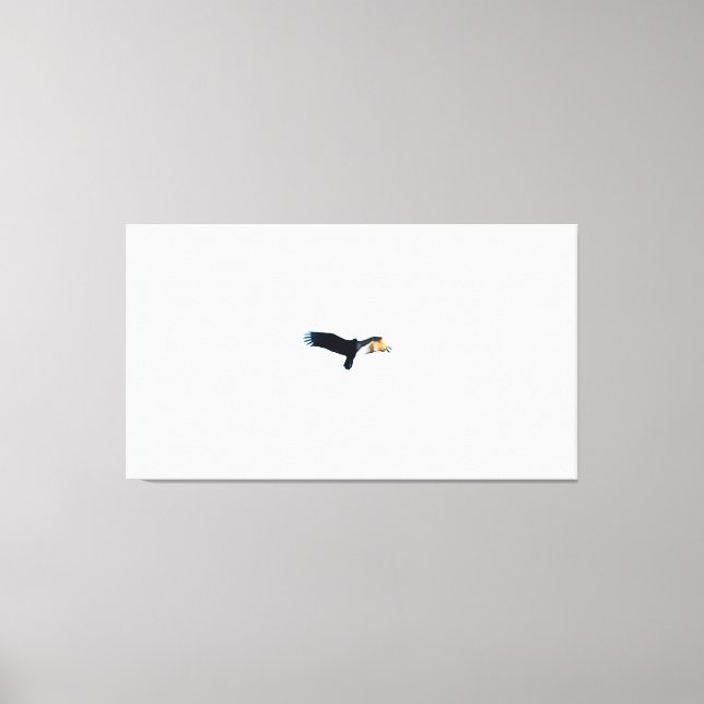 Bird Soaring in Clear Sky Canvas Print (Front)