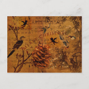 Bird Song Christmas Holiday Postcard