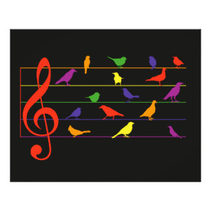 Bird Song, colorful design Photo Print