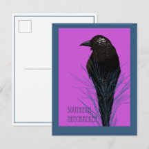 Bird -- Southern Nutcracker