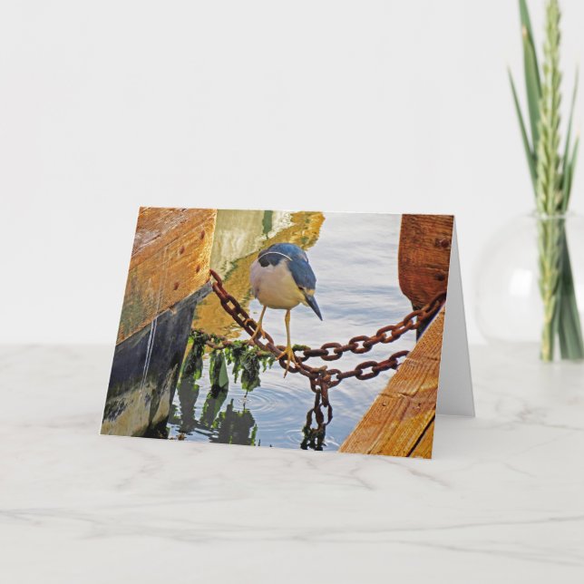 Bird Spotting Black-Crowned Night Heron Card (Front)