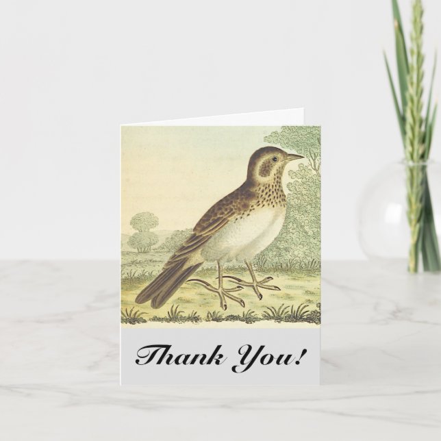 Bird Standing on the Ground, "Thank You!" Card (Front)