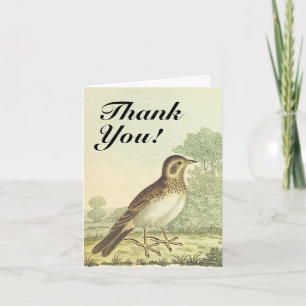 Bird Standing on the Ground, "Thank You!" Card