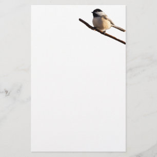 Bird Stationary Chickadee Stationery