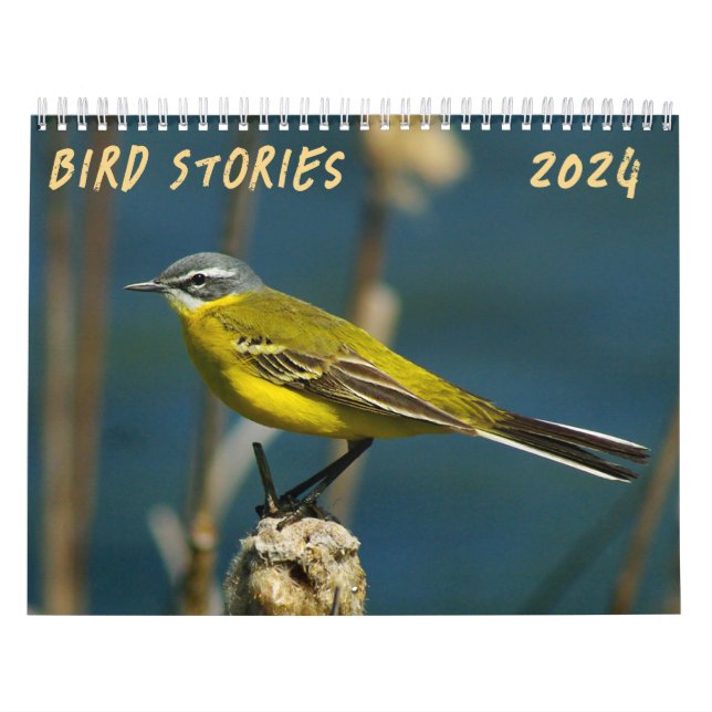 "Bird Stories" Bird photo calendar (Cover)