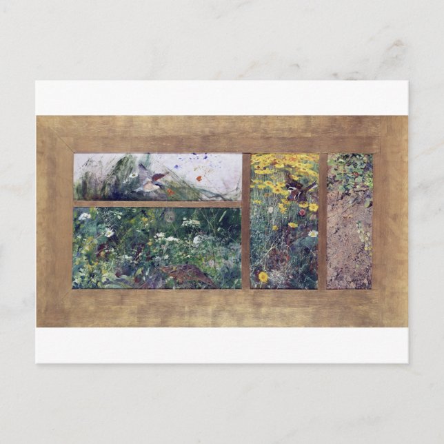 Bird Studies, Bruno Liljefors Postcard (Front)