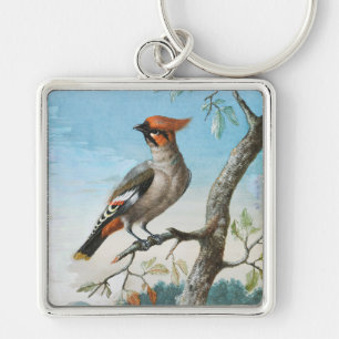 Bird Study by George Edwards (1694-1773) Key Ring