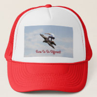 Bird Surfing