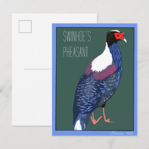Bird -- Swinhoe's Pheasant Postcard