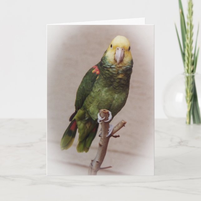 Bird Sympathy Card (Front)
