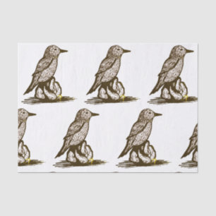 Bird tissue paper for decoupage