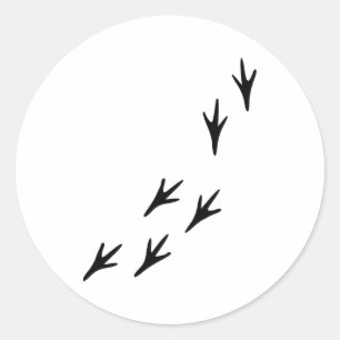 Bird - Tracks Classic Round Sticker