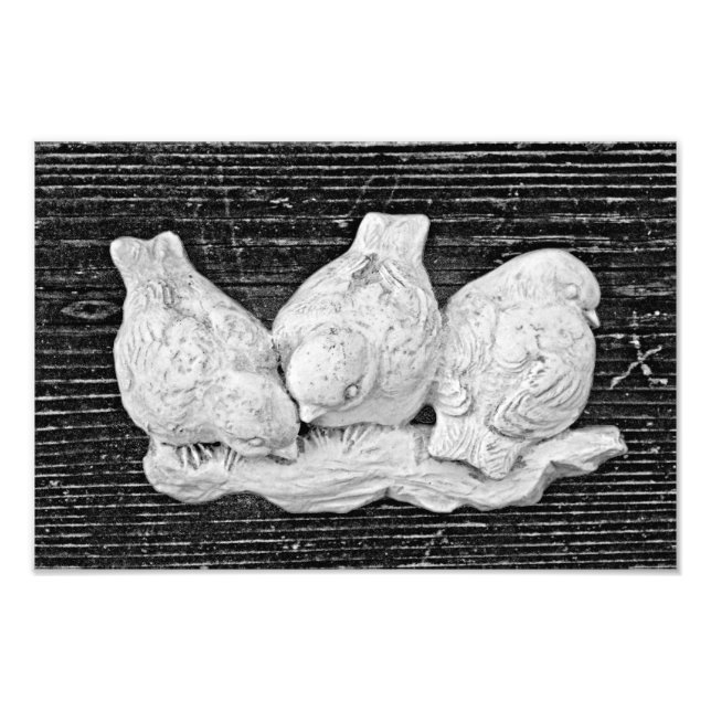 Bird Trio Photo Print (Front)