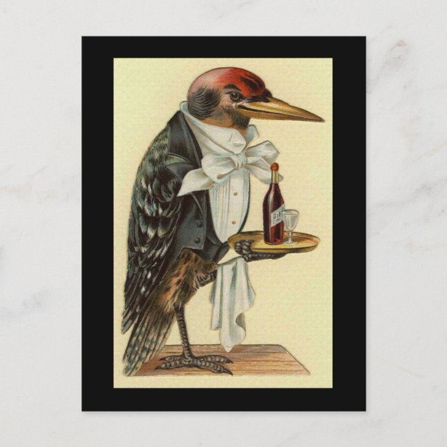 Bird Waiter Postcard (Front)