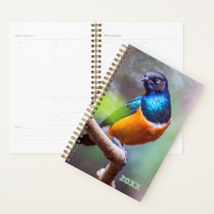 Bird Watcher Blue Orange Green Starling on a Limb Planner